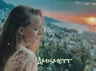 Amismett
