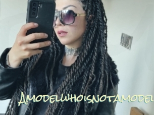 Amodelwhoisnotamodel