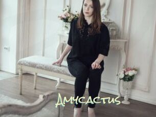 Amycactus