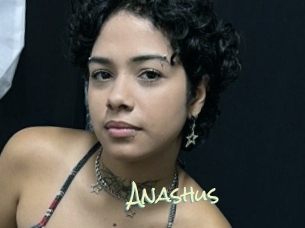 Anashus