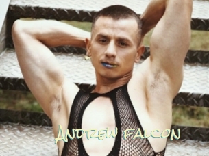 Andrew_falcon
