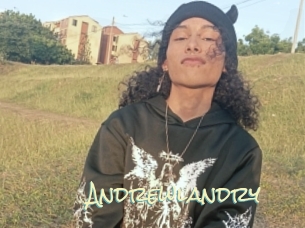 Andrewlandry