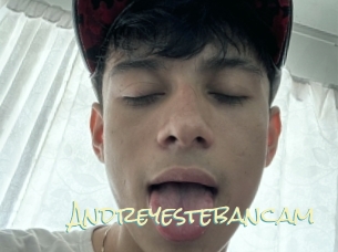 Andreyestebancam