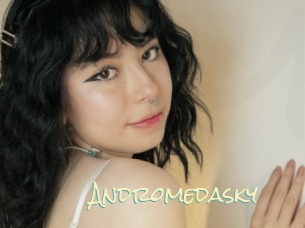 Andromedasky
