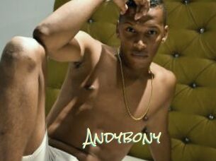 Andybony