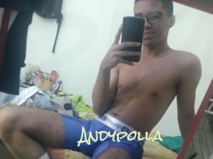 Andypolla
