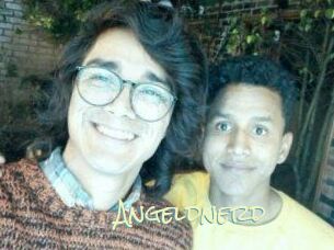 Angeldnerd