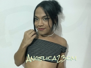 Angelica23cm