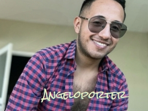 Angeloporter