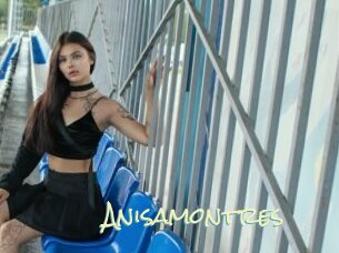 Anisamontres