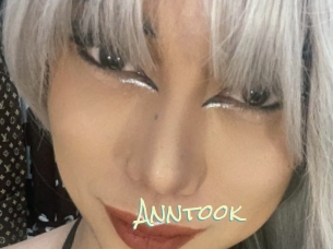 Anntook