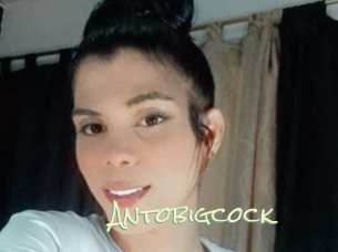 Antobigcock
