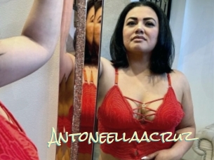 Antoneellaacruz