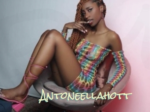 Antoneellahott