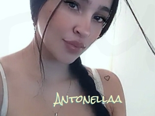 antonellaa Porn Monkey Cash