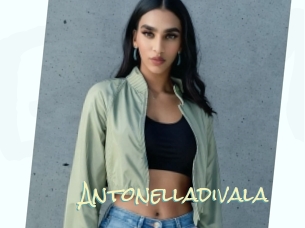 Antonelladivala
