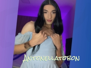 antonellatobon Porn Monkey Cash