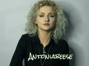 antoniabeese Porn Monkey Cash