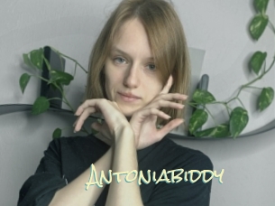 Antoniabiddy