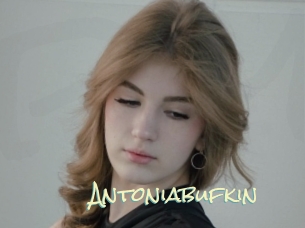 Antoniabufkin