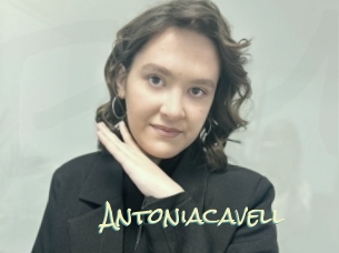 Antoniacavell