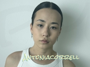 Antoniacorrell