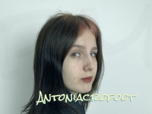 Antoniacrofoot