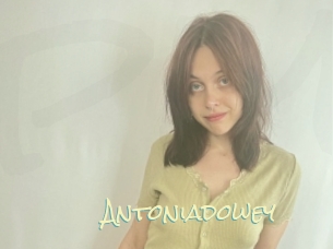 Antoniadowey