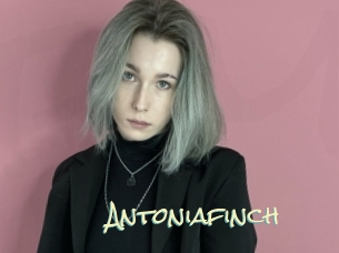 antoniafinch Porn Monkey Cash