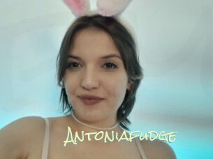 Antoniafudge
