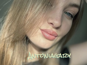 Antoniagary