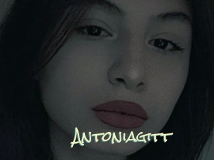 Antoniagitt