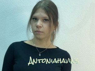 antoniahavins Porn Monkey Cash