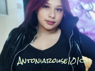 Antoniarouse101cm