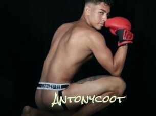 Antonycoot