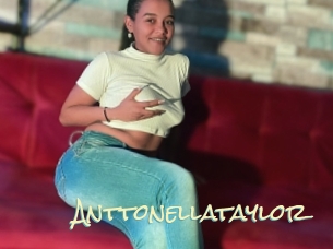 anttonellataylor Porn Monkey Cash
