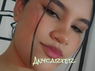 Anycarter