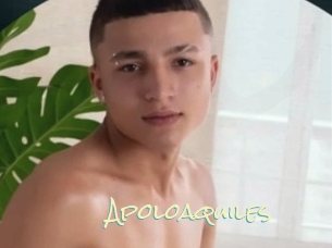 Apoloaquiles