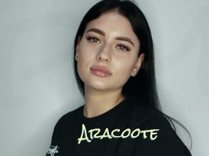 Aracoote