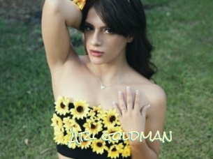 Ari_goldman