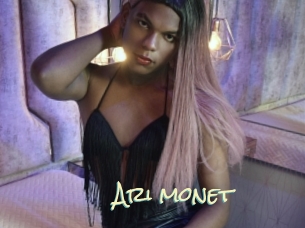 Ari_monet