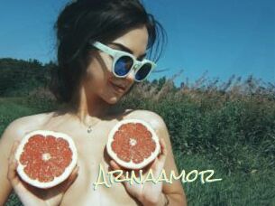 Arinaamor