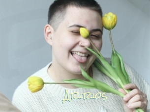 Aririos