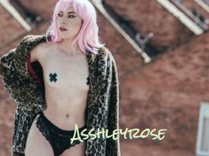 Asshleyrose