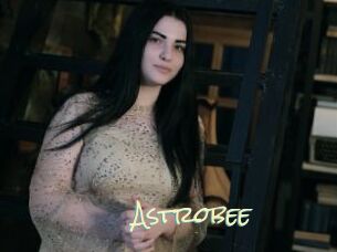 Astrobee