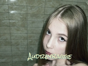 Audreybagge