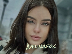 Avelinafox