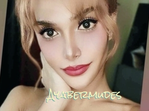 Ayabermudes