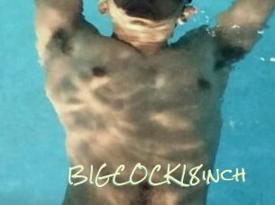 BIGCOCK18inch