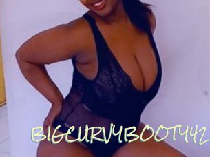 BIGCURVYBOOTY42